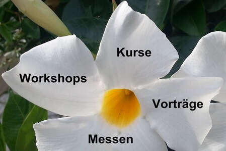 Weiße Mandevilla Blüte. Text auf 4 (von 5) Blütenblättern: Workshops, Kurse, Vorträge, Messen: zu Veranstaltungen.